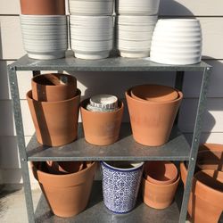 Plant Pots