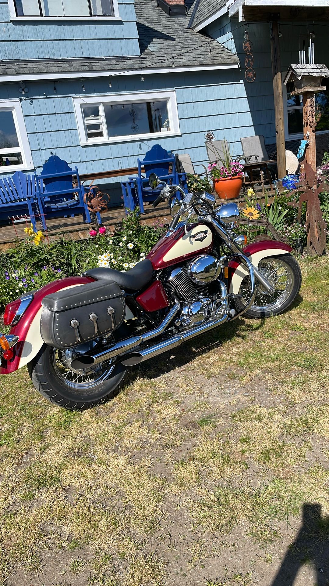 1999 75 ACE Shadow