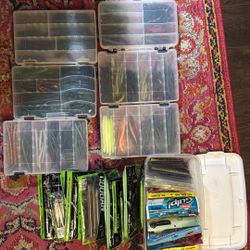 Various Soft Plastic Baits: Senko, Googan, Etc…