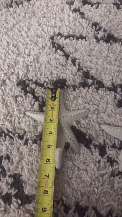 Starfish Hooks