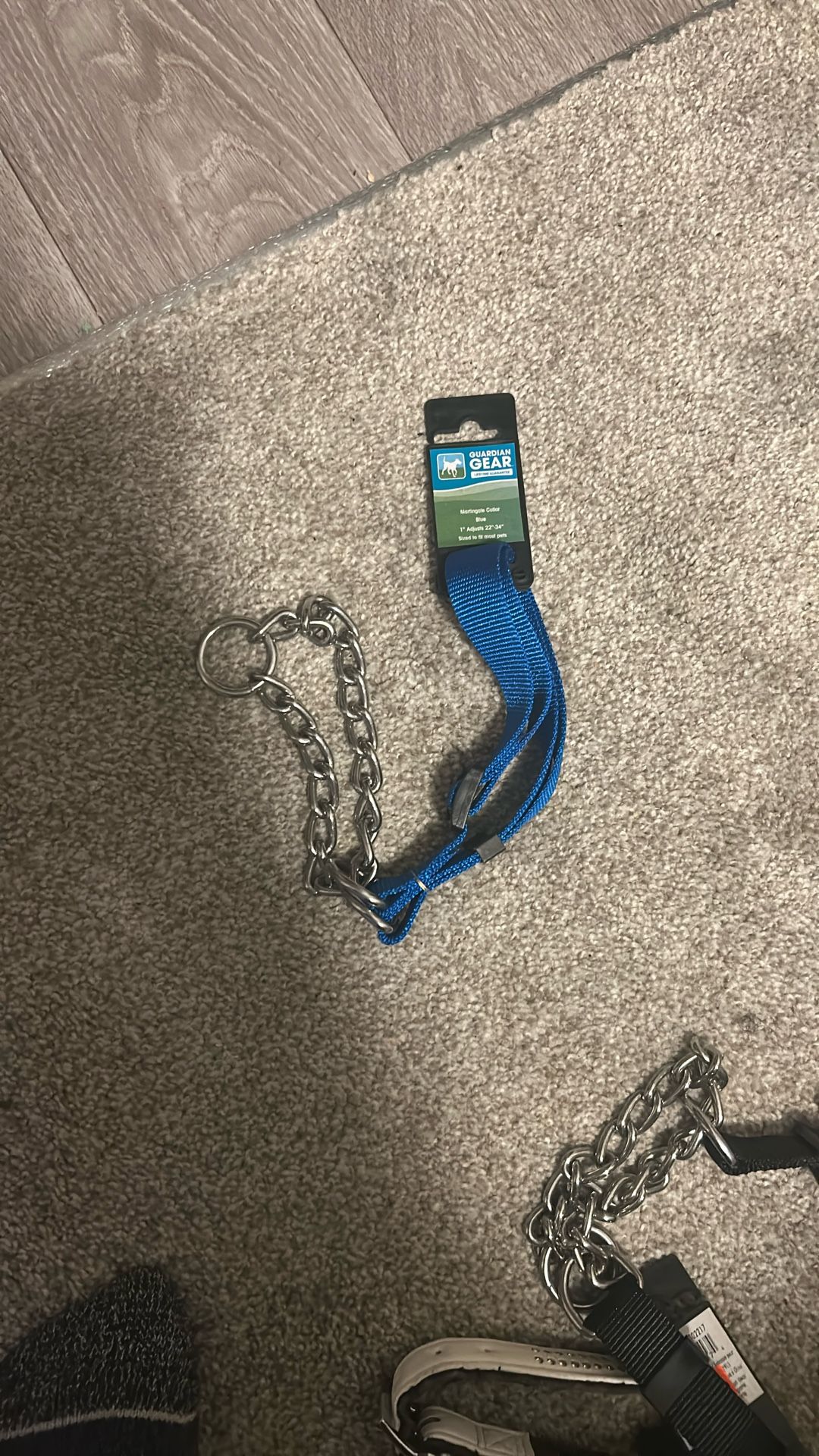 Dog Collar brand New, Never Used
