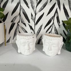 Plant Pots 