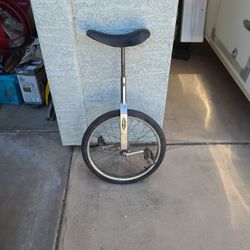 Vintage Schwinn Unicycle  