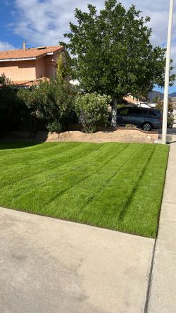 Jardin Garden
