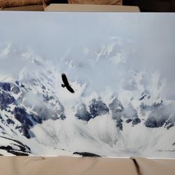 Thomas Mangelsen "Among the Glaciers" photograph 