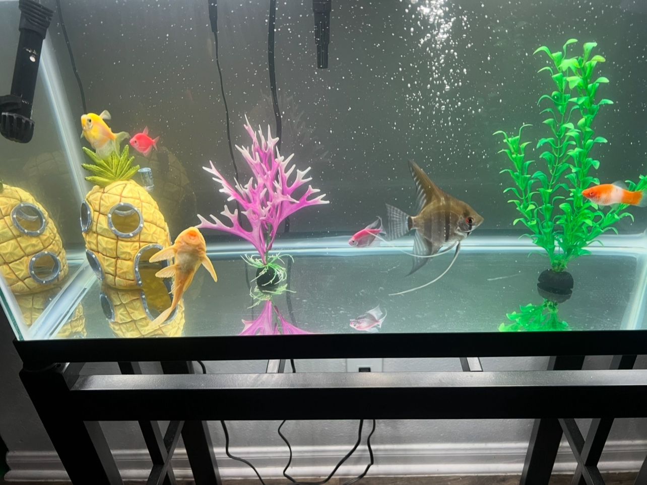 Fish Tank And Stand For Sale 