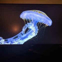 Aoc 27” Gaming Monitor 165hz (model: 27g2s)