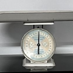 Vintage American Family Baby Scale