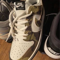 Nike Dunk Pro