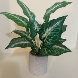 Realistic faux Plant For Home Or Office Decoration