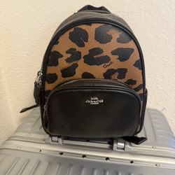 Coach mini backpack 