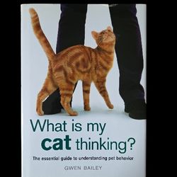 What Is My Cat Thinking? (HARDCOVER)