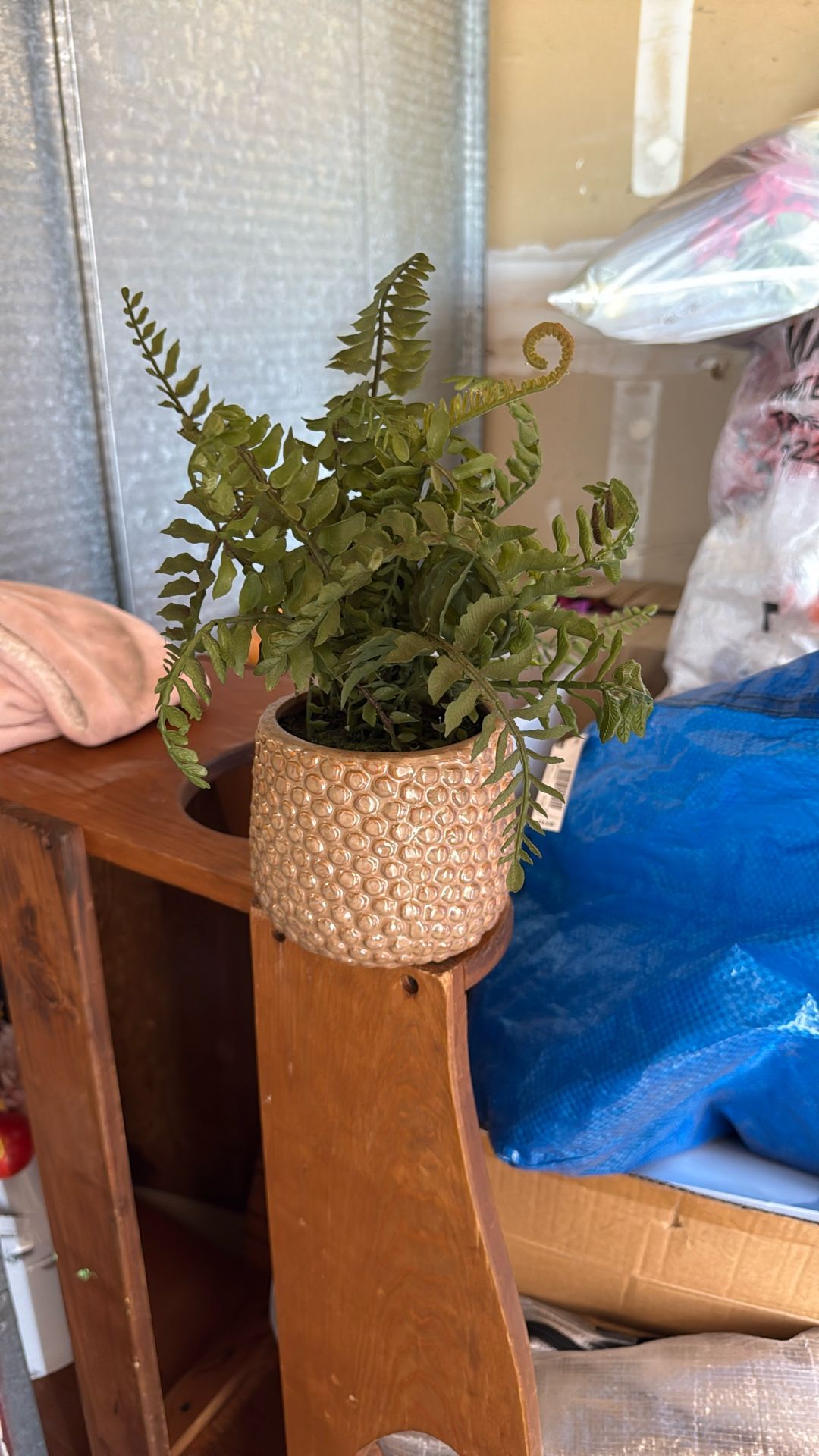 Fake Plant 