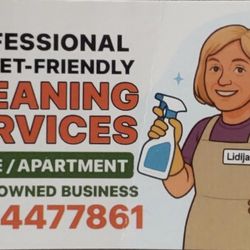 Cleaning House 
