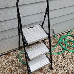 Step Ladder