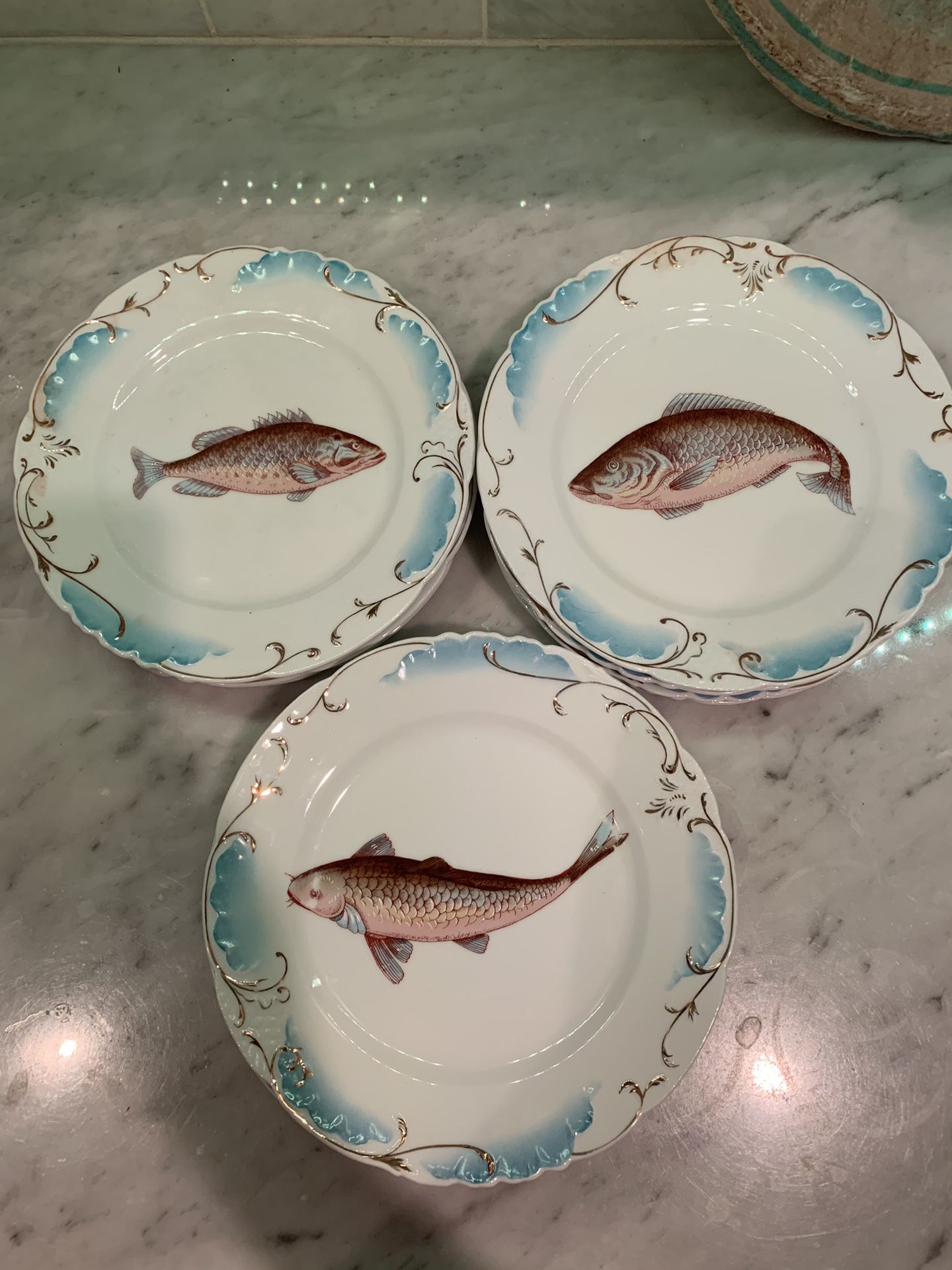 Antique gorgeous Fish M&C Garlbraad Austria 🇦🇹 porcelain bone China.