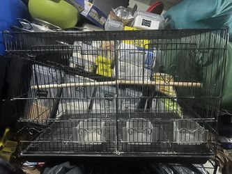 Bird Cage 24/16/16
