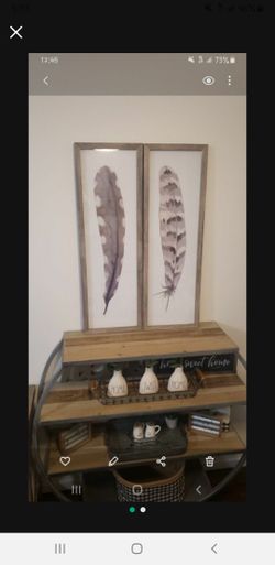 Set Of 2 Feather Wall Decor 