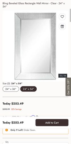 Bling Beveled Glass Rectangle Wall Mirror 24x54