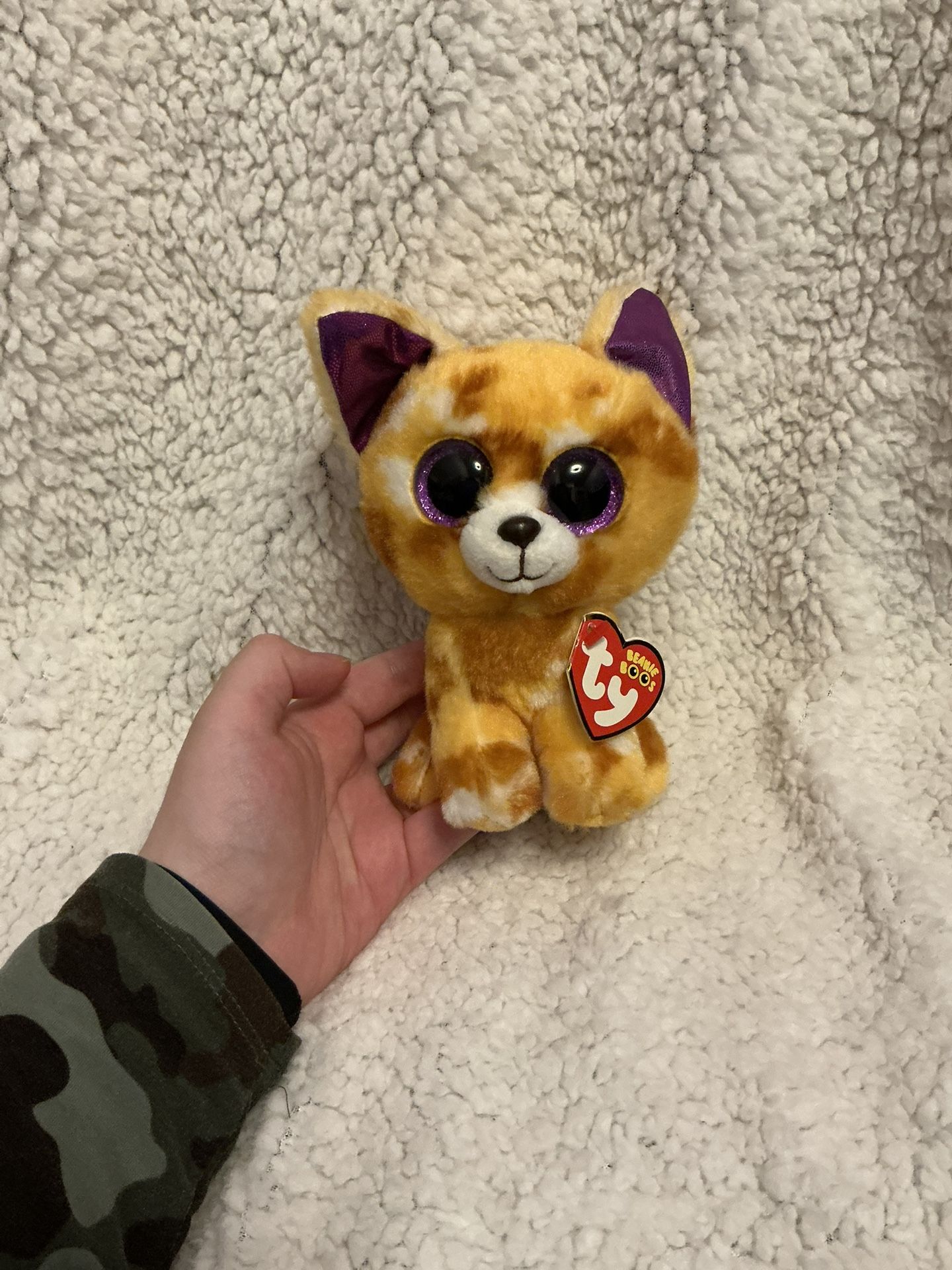 Ty Beanie Boo “Pablo” the Chihuahua Dog 6”