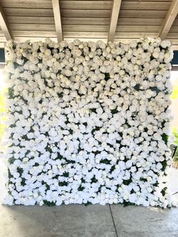 White Flower Wall