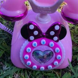 Mine and Donald Duck