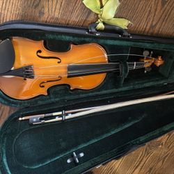 Viola
