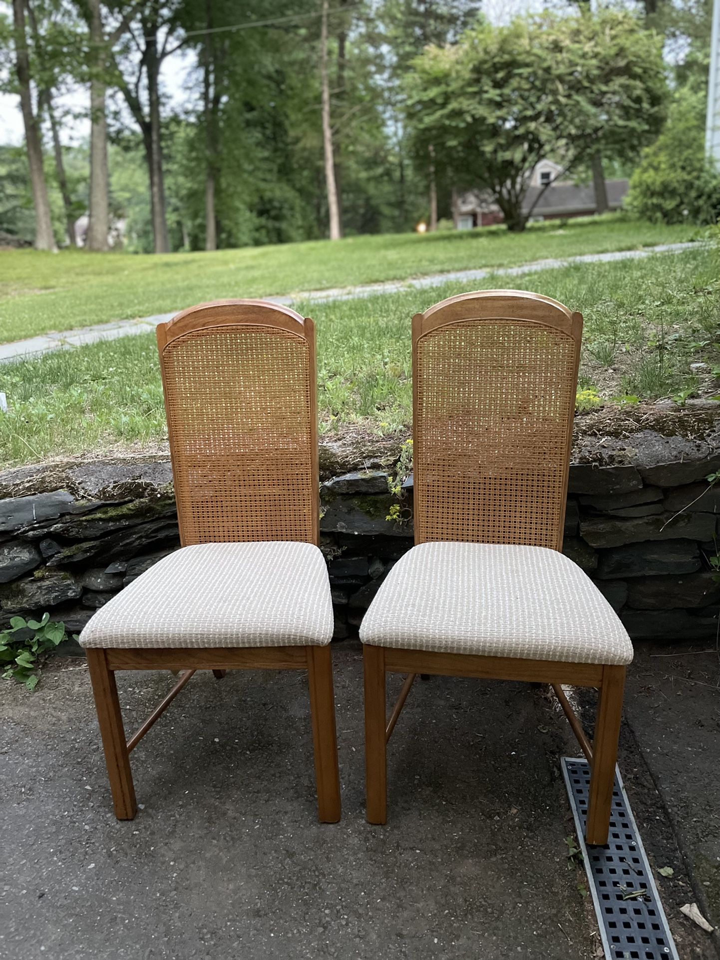 Dinning Chairs