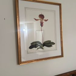 Orchid Painting