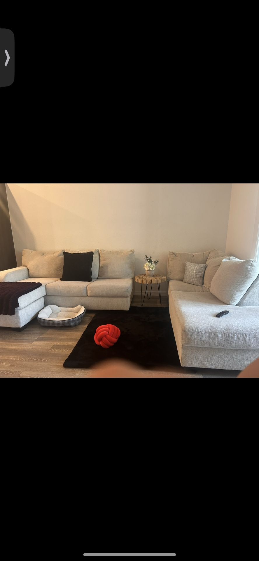Removable L Shape Couch With A Small Coffee Table