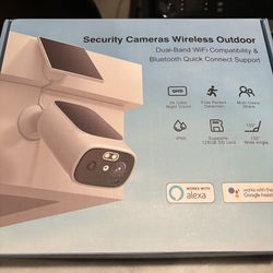 Cameras (No Subscription Needed)