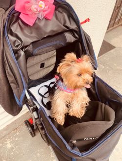 Dog stroller
