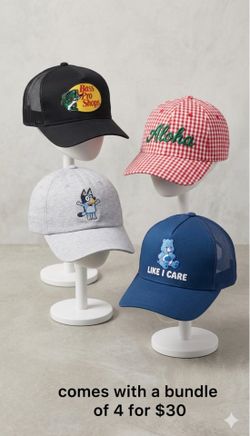 4-Piece Pop Culture & Lifestyle Hat Bundle