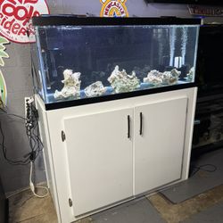 75 Gallon Aquarium 