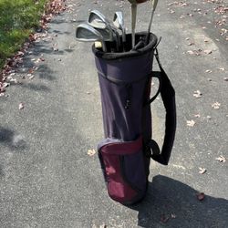 (8) Golf club set w/ Bag King Cobra Irons, Titleist Woods, Brass head putter