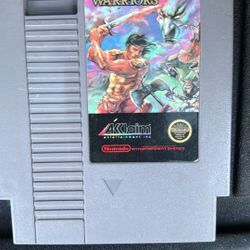 Wizards And Warriors NES 