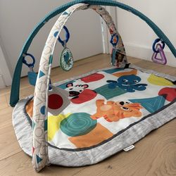 Baby Einstein Tummy Time mat