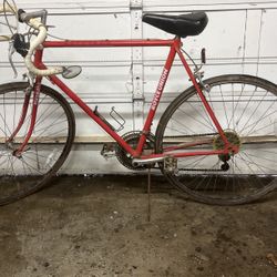 10 Speed Bike
