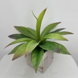 Artificial Plant