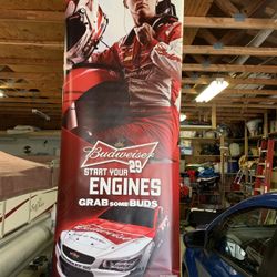 Daytona 500 Race Car #29 Banner