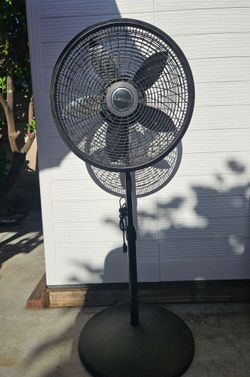 Lasko Black Tall Stand Fan