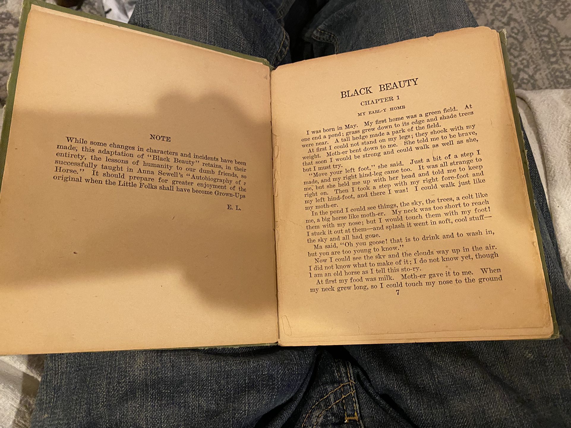 Black beauty Book From 1905 