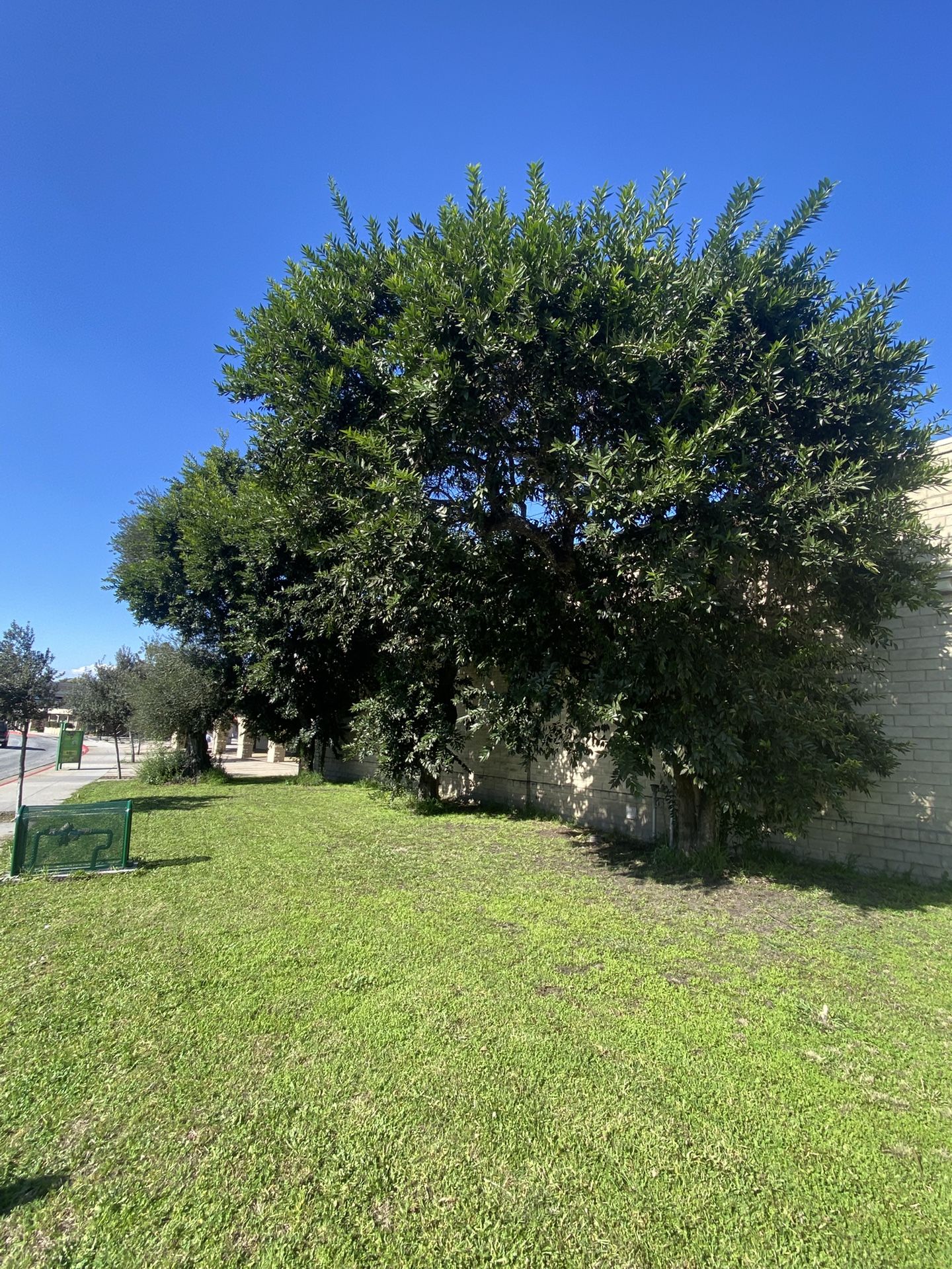 Do You Need Remove ? Removal ?