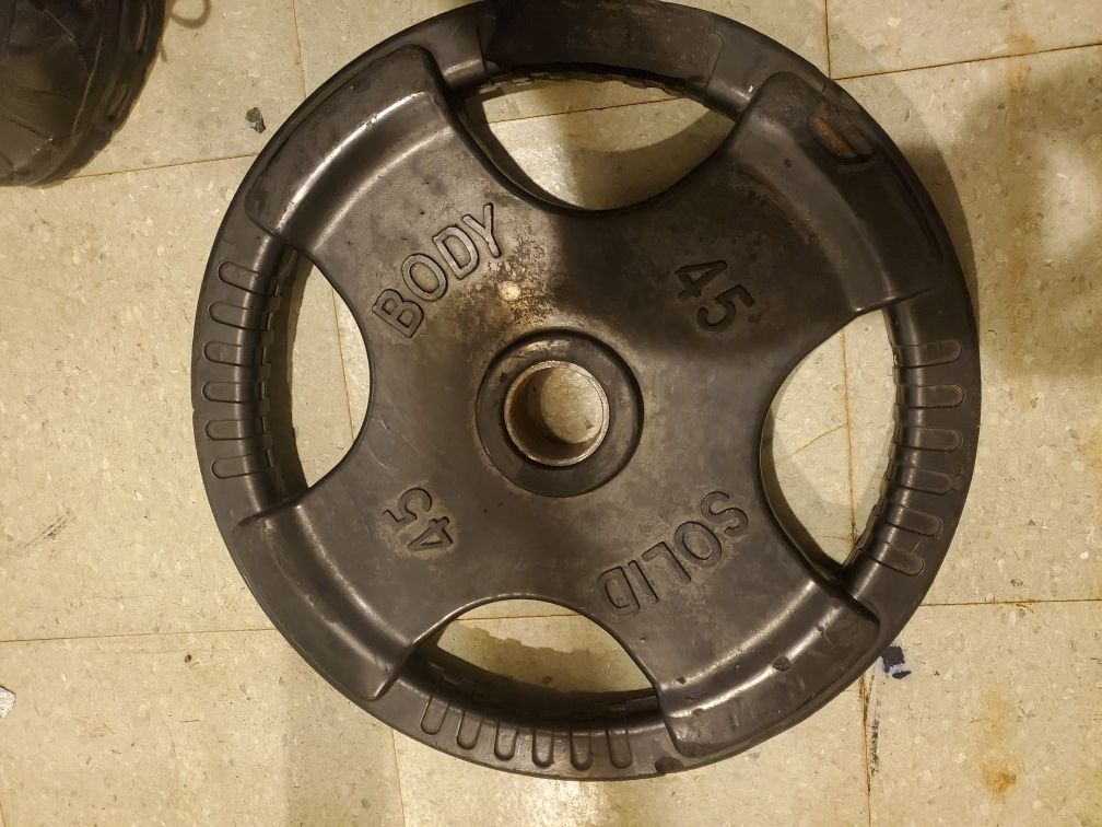 Olympic Plate Weights (45s)