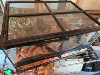Exo terra terrarium