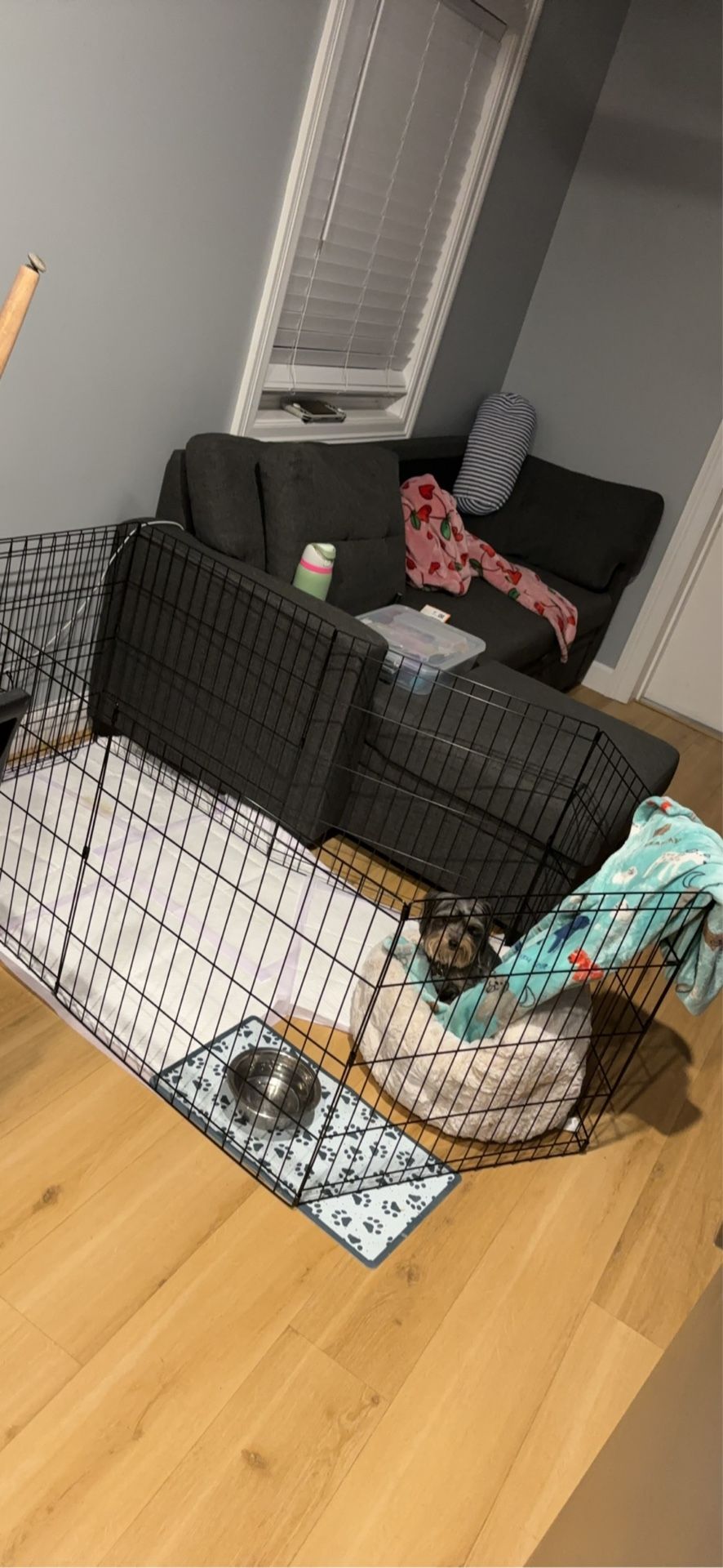 Indoor/Outdoor Pet Fence