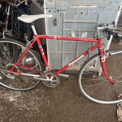Panasonic Road Race Bike