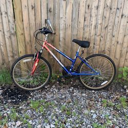 Free spirit Tailwind Bike