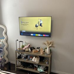 APEX TV MOUNT