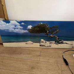 Beach Photo